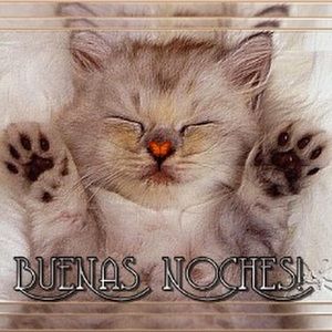 Meet your Posher, Araceli